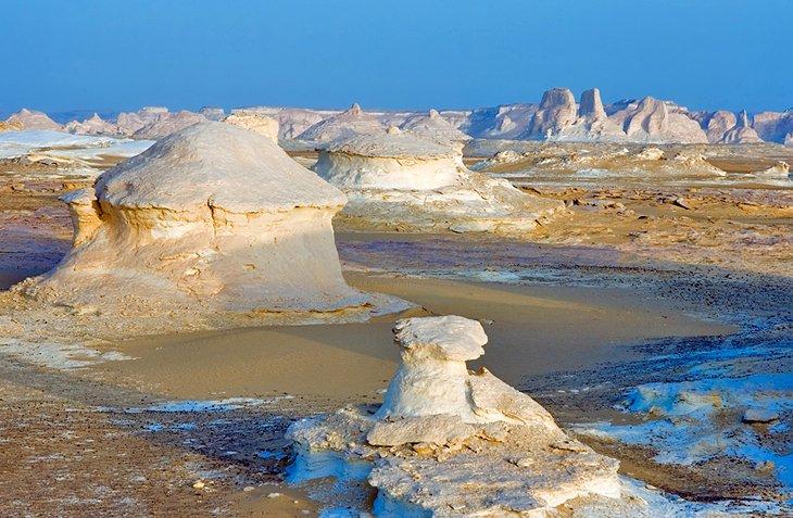 Desierto Blanco