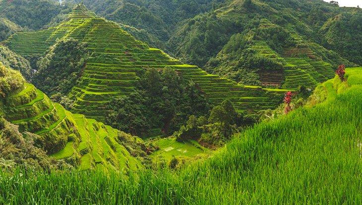 Terrasses de riz de Batad, Banaue