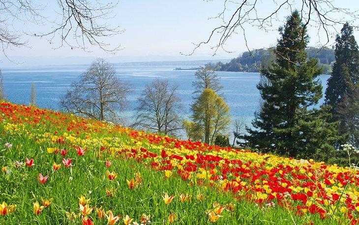 Isla Mainau: la Isla de las Flores del Lago de Constanza