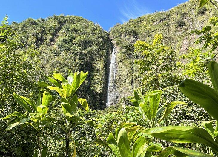 Cascada Waimoku, Maui
