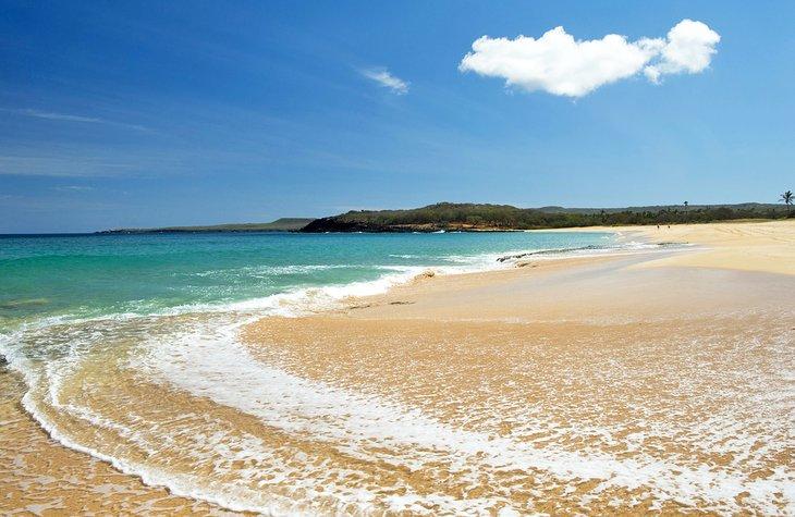 Playas abiertas en el Parque Playa Papohaku, Molokai
