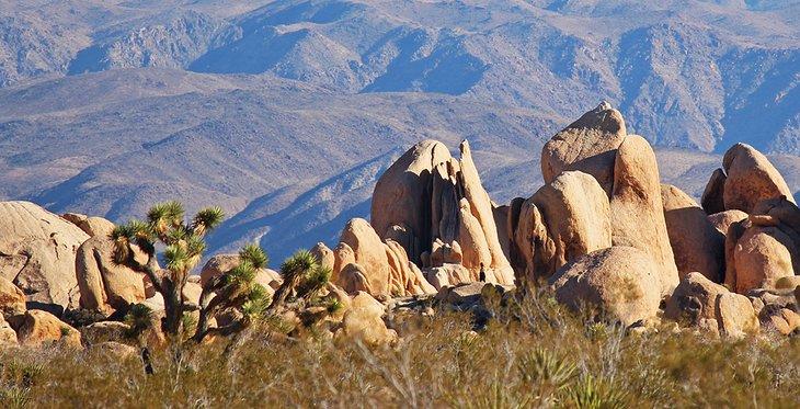 Paisaje en el Parque Nacional Joshua Tree
