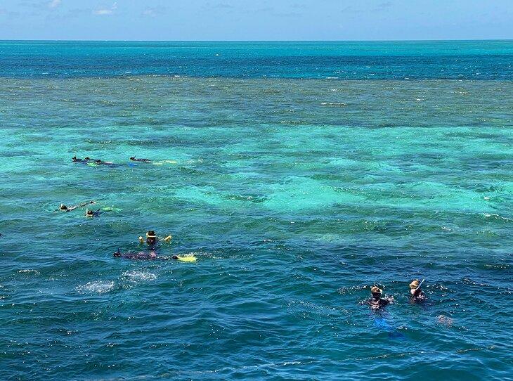 Schnorchler im Great Barrier Reef