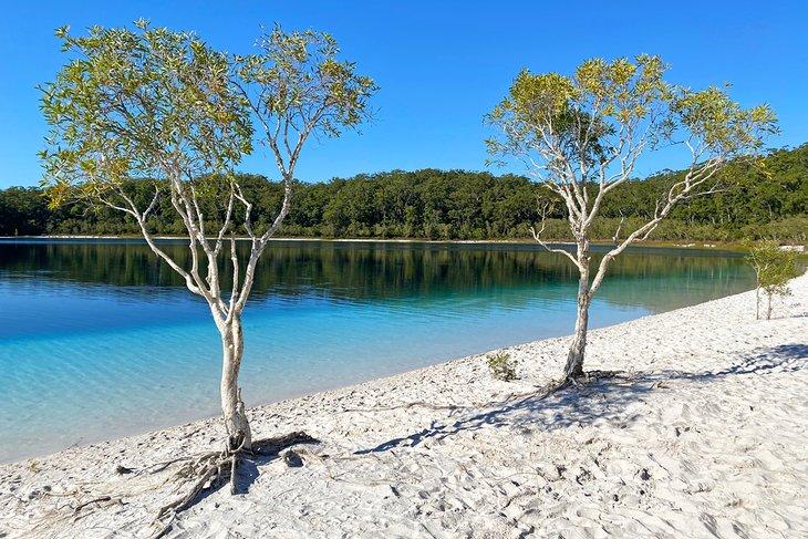 Lake McKenzie in der Mitte von K'Gari (Fraser Island)