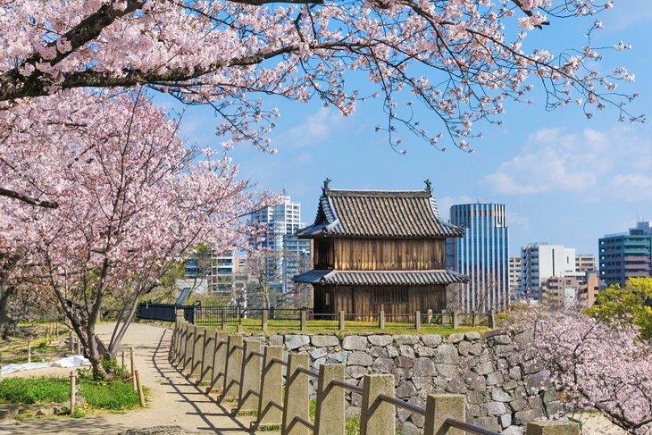 Las ruinas del Castillo de Fukuoka en el Parque Maizuru