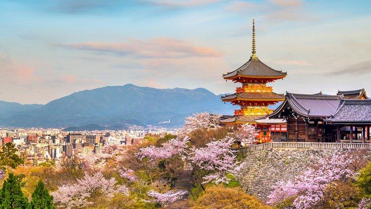 Templo Kiyomizu-Dera durante la temporada de flores de cerezo