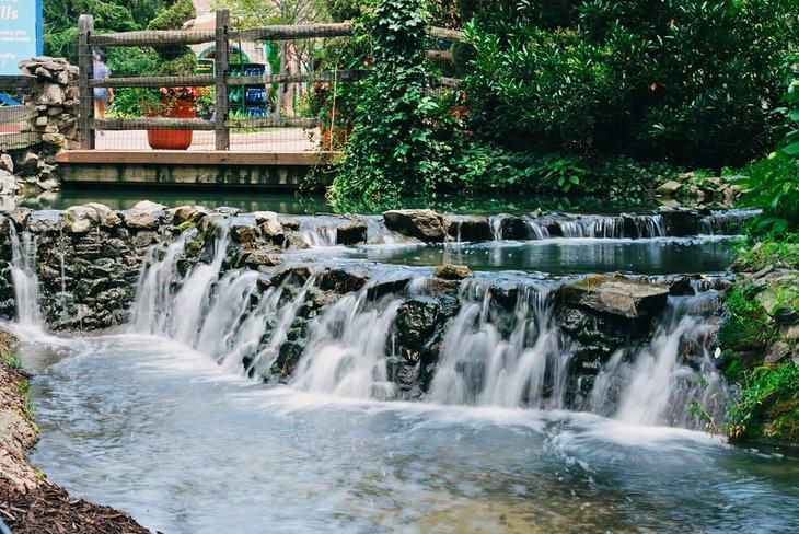 Cascada en Busch Gardens