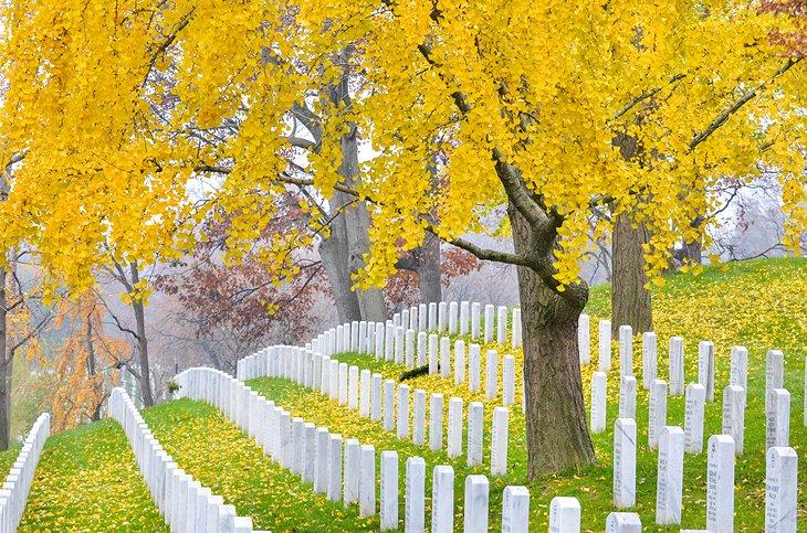 Cementerio Nacional de Arlington
