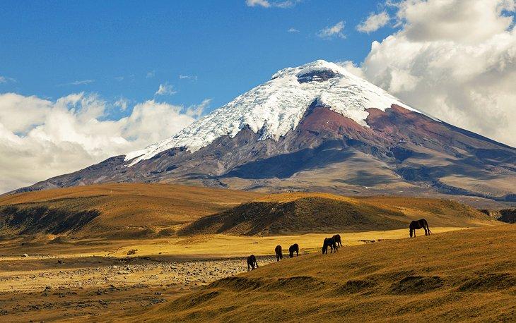 Cotopaxi und Cajas Nationalparks