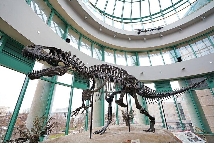 Museo de Ciencias Naturales de Carolina del Norte