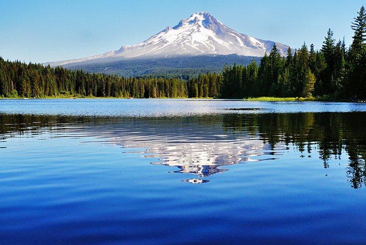 Bosque Nacional Mount Hood