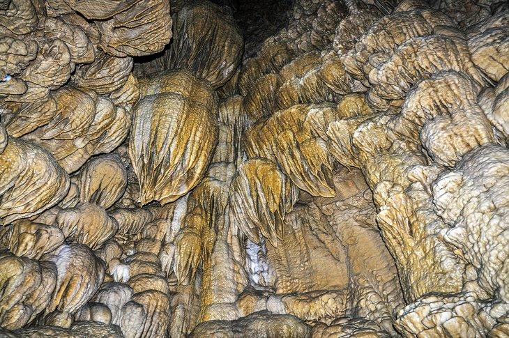 Monument national et préservatif des Grottes de l'Oregon