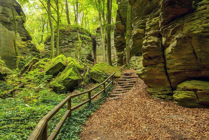 Sendero de Mullerthal en Berdorf