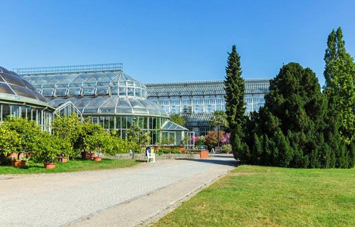 Jardín Botánico y Museo de Berlín-Dahlem