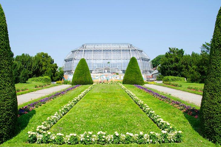 Jardín Botánico y Museo de Berlín-Dahlem