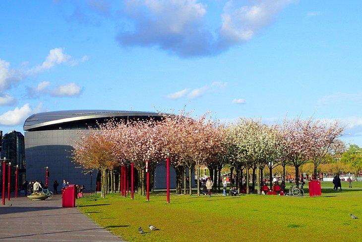 Musée Van Gogh, Amsterdam