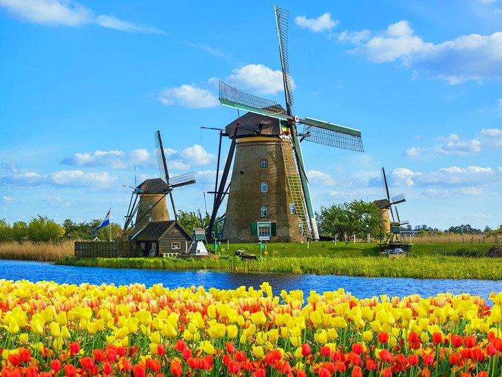 Scène classique du printemps aux Pays-Bas