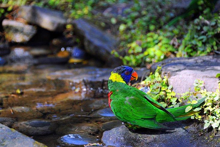 Zoo et jardin Riverbanks, Columbia