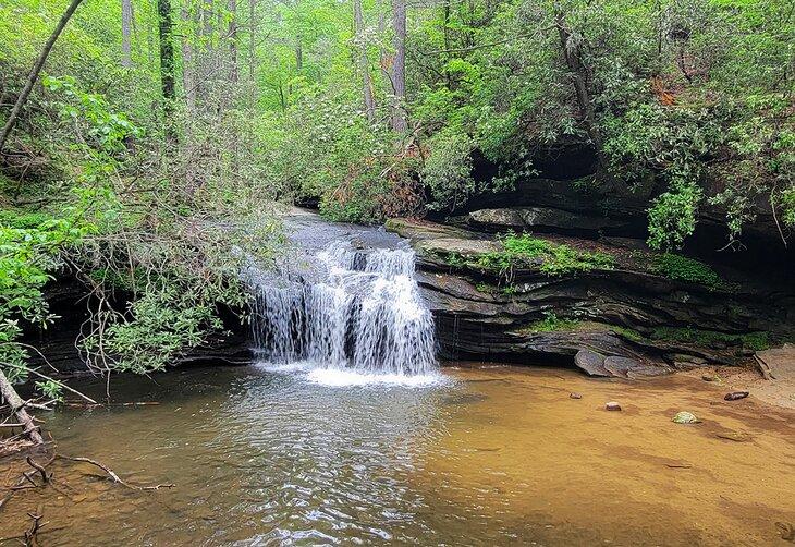 Carrick Creek Falls dans le parc d'État de Table Rock