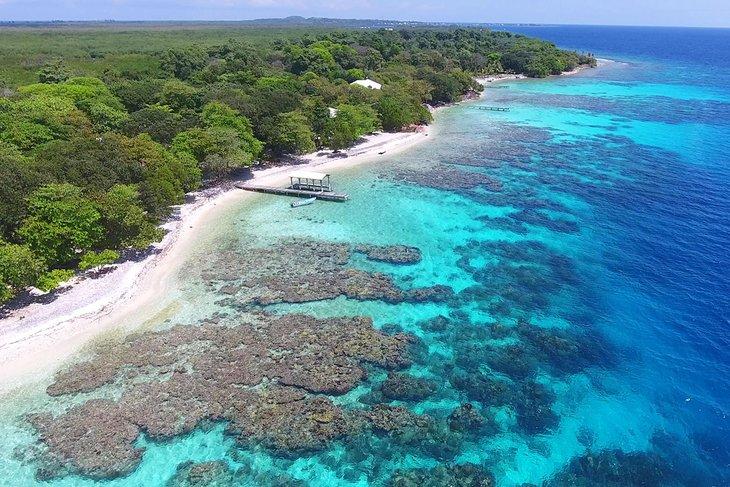 Récif corallien à Utila, Honduras