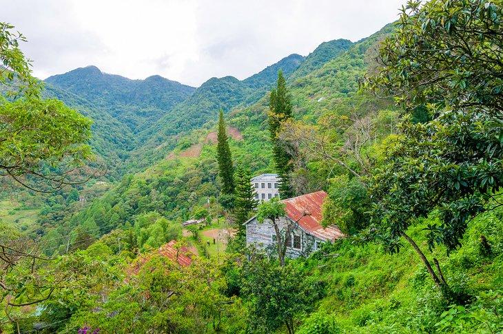 Parc National de La Tigra