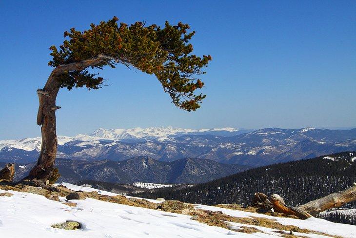 Mount Blue Sky
