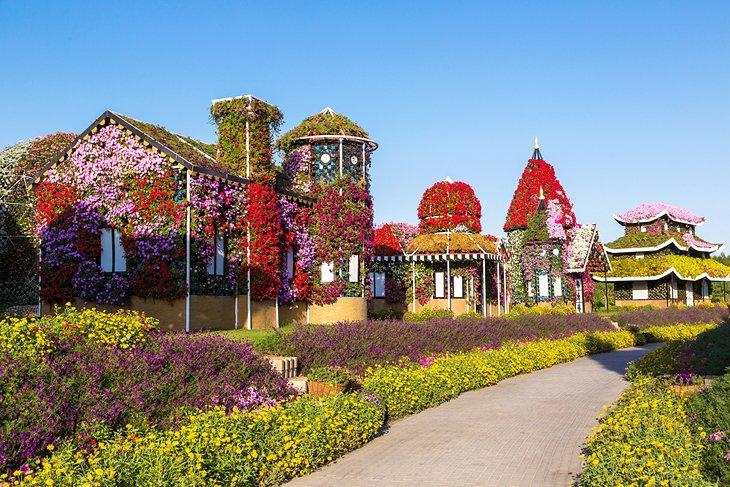 Fleurs magnifiques s'épanouissant au jardin miracle de Dubaï