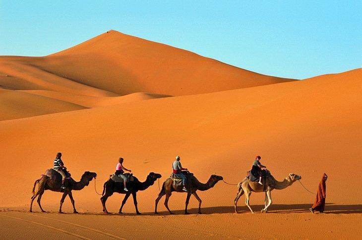 Trekking en camello en Erg Chebbi