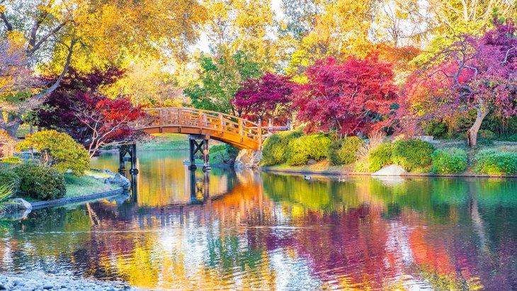 El Jardín Japonés en el Jardín Botánico de Missouri