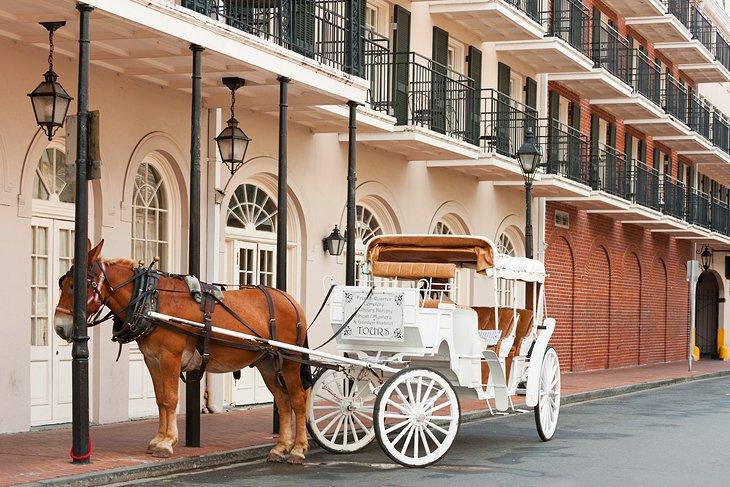Nueva Orleans