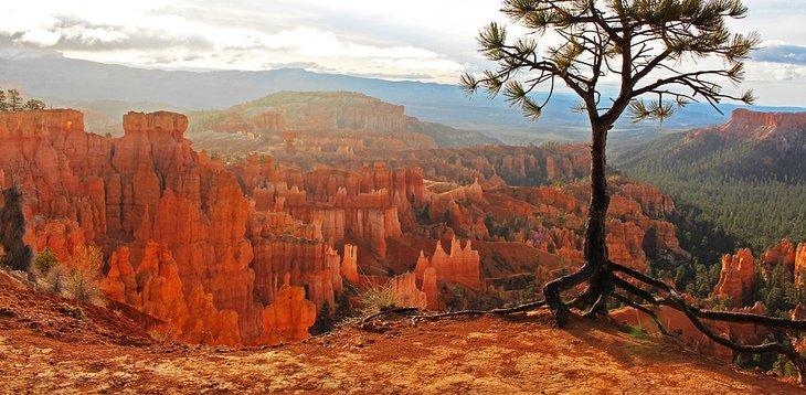 Parque Nacional Bryce Canyon