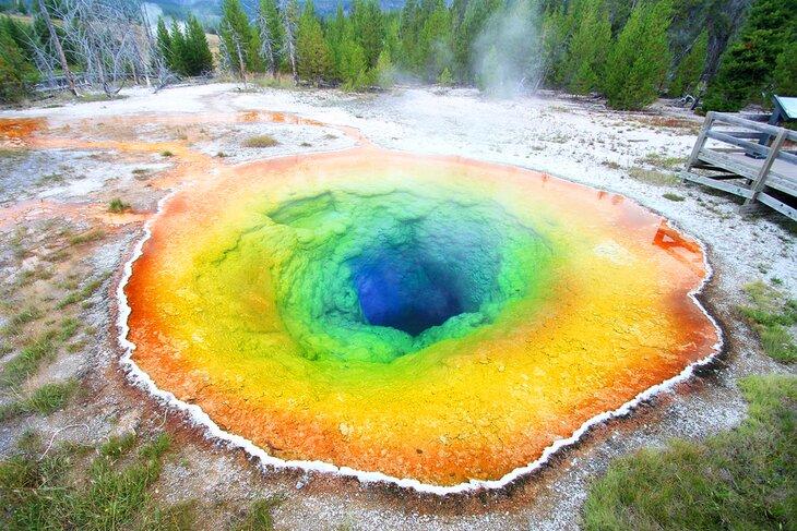 Morning Glory Pool en el Parque Nacional Yellowstone