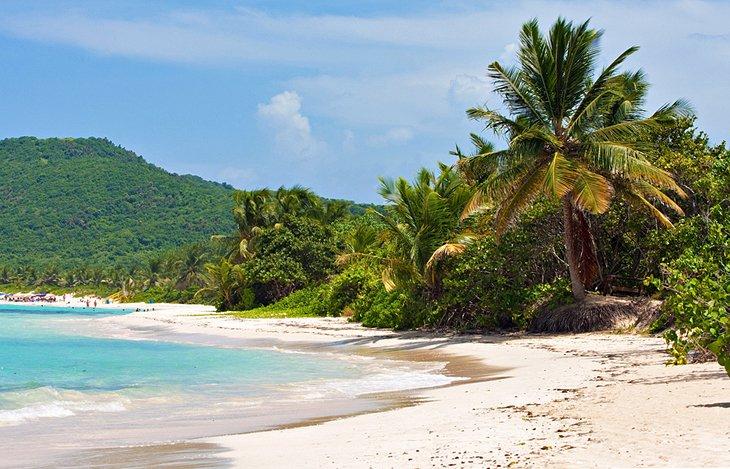 Isla Culebra (Isla Culebra)