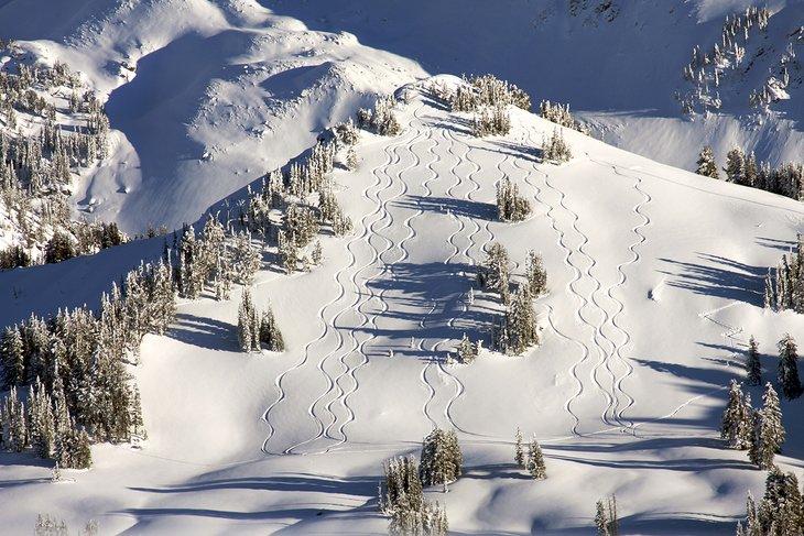 Rastros frescos en el Grand Targhee Ski Resort