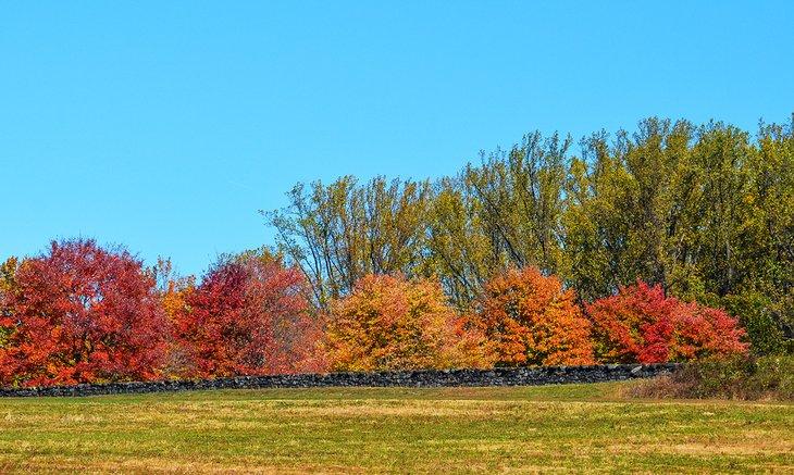 Otoño en el Parque Estatal Brandywine Creek