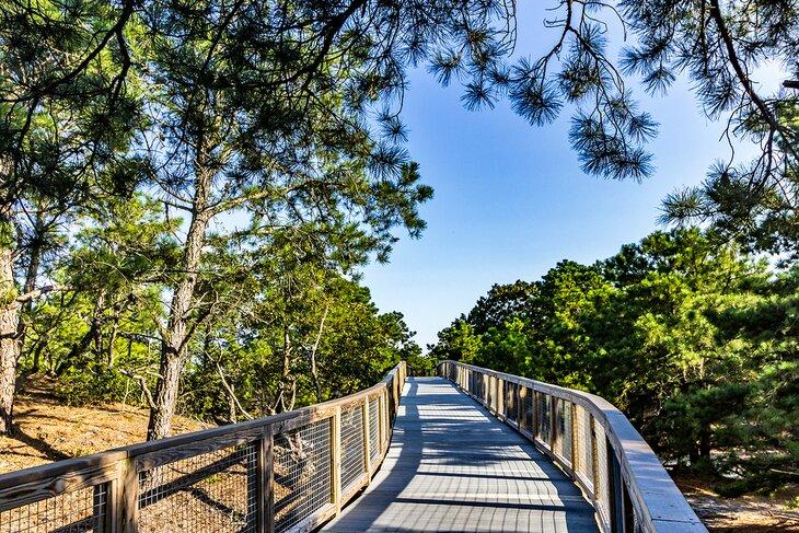 Parque Estatal Cape Henlopen