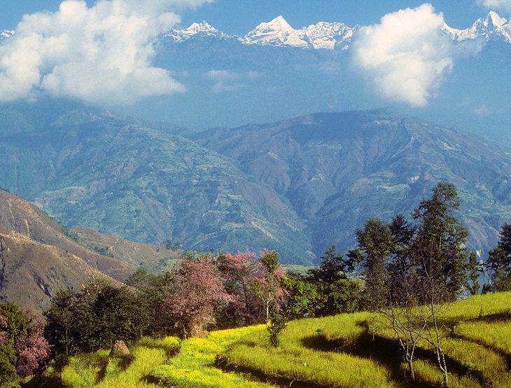 Trek de Helambu