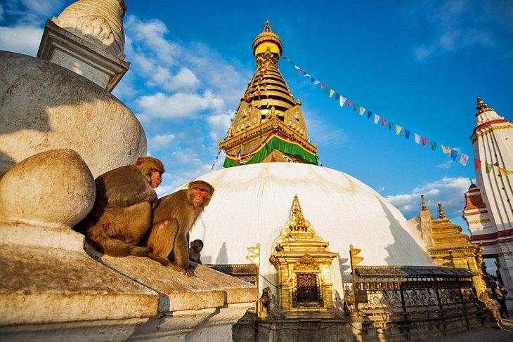 Swayambhunath (Templo de los Monos)