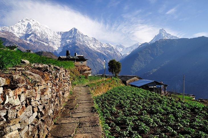 Senderismo en la región de Annapurna