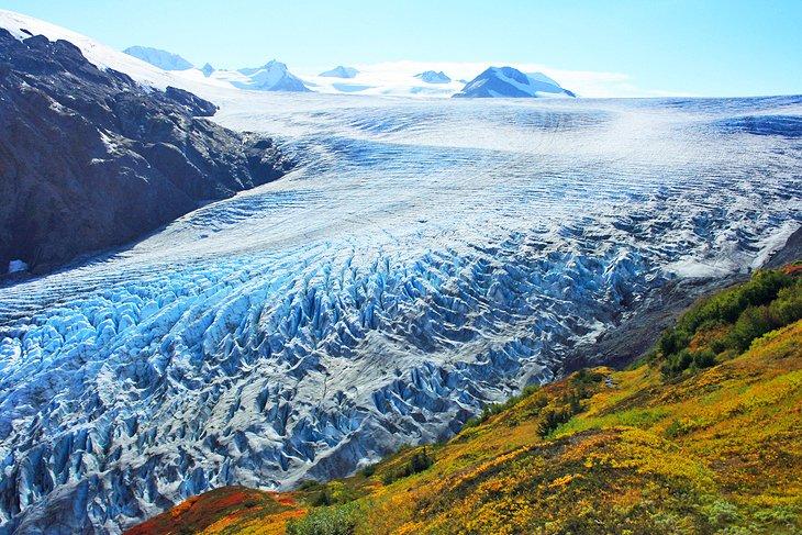 Glaciar Exit en el Parque Nacional Kenai Fjords
