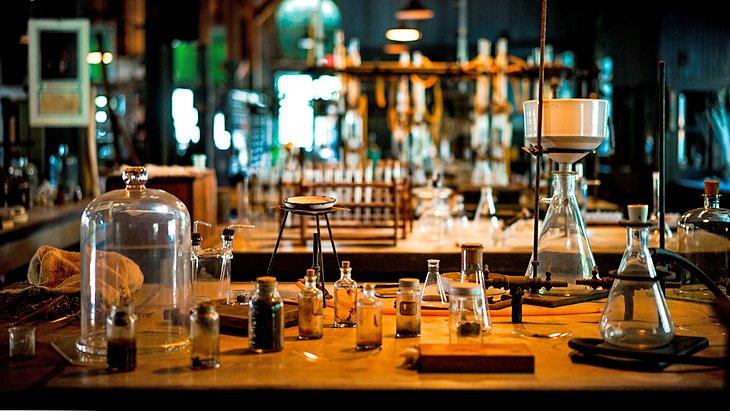 Laboratorio en Edison y Ford Winter Estates
