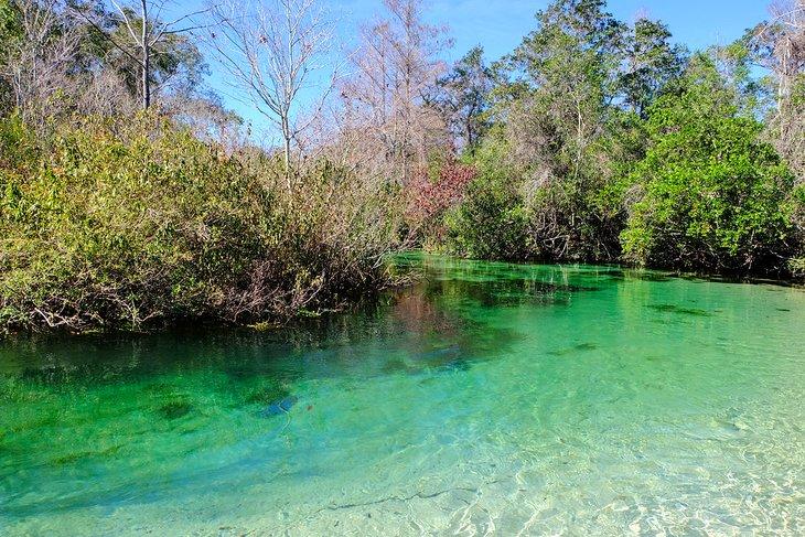 Parque Estatal Weeki Wachee Springs