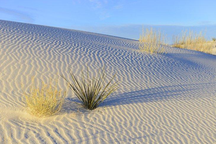 Parque Nacional de las Arenas Blancas