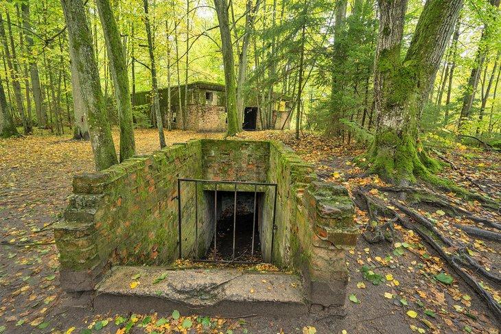 Guarida del Lobo de Hitler