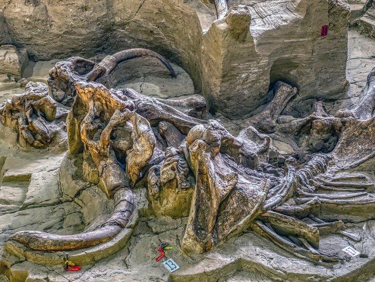 Sitio Mammoth