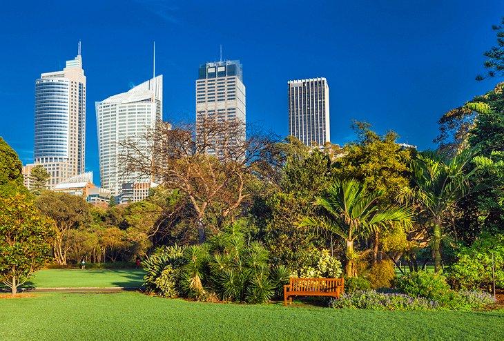 El Jardín Botánico Real de Sídney