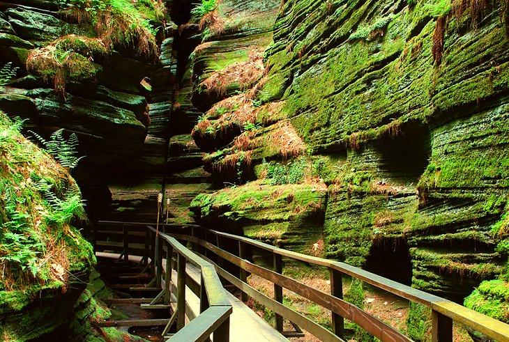 Realiza una excursión: los maravillosos senderos de Wisconsin