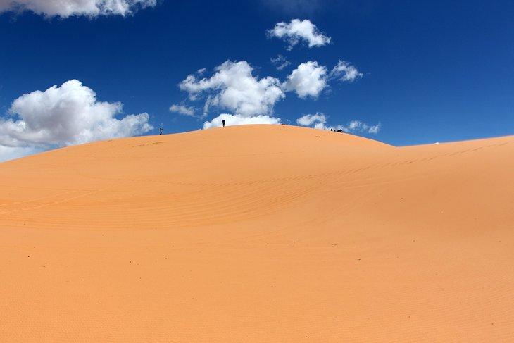 Parque Estatal Coral Pink Sand Dunes