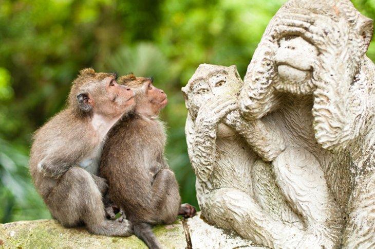 Bosque Sagrado de los Monos, Ubud