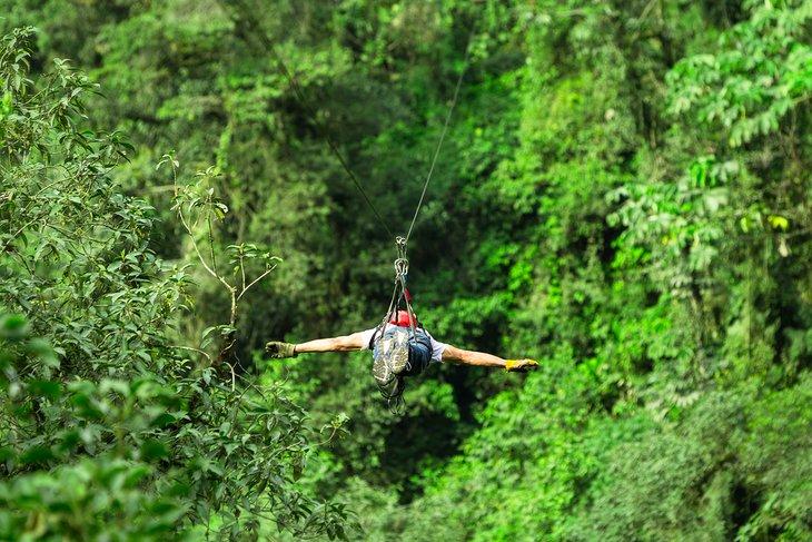 Tirolesa sobre la jungla